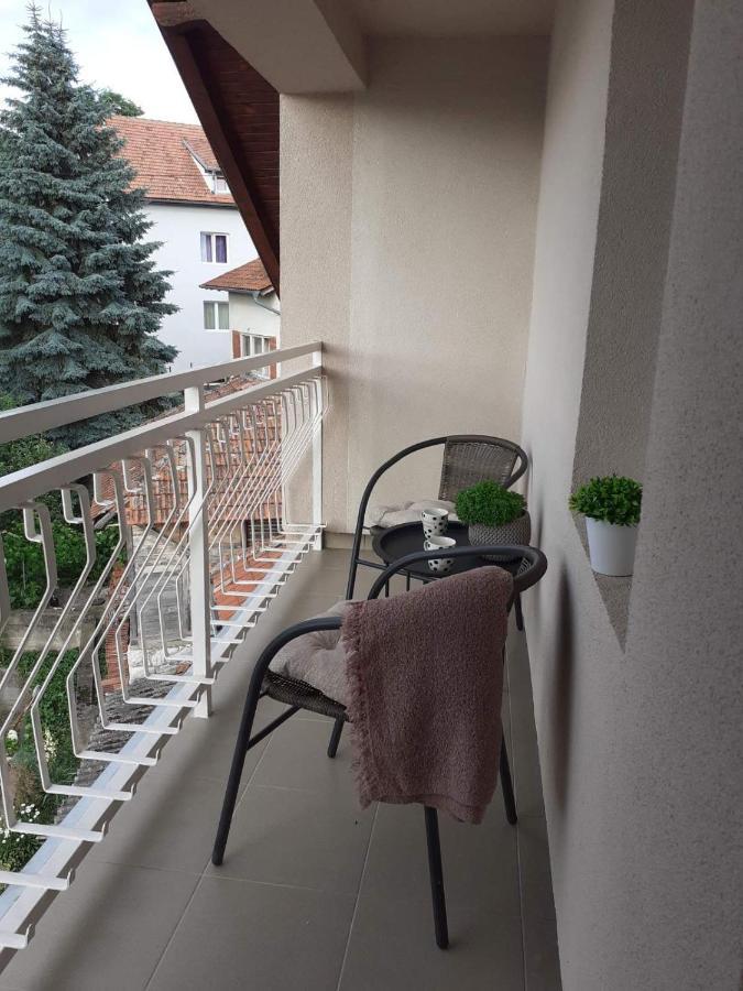 M Apartments Сокобаня Екстер'єр фото