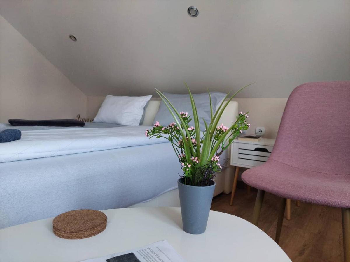 M Apartments Сокобаня Екстер'єр фото