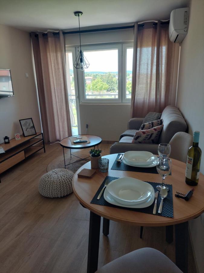 M Apartments Сокобаня Екстер'єр фото