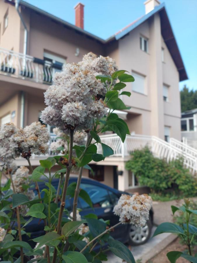 M Apartments Сокобаня Екстер'єр фото